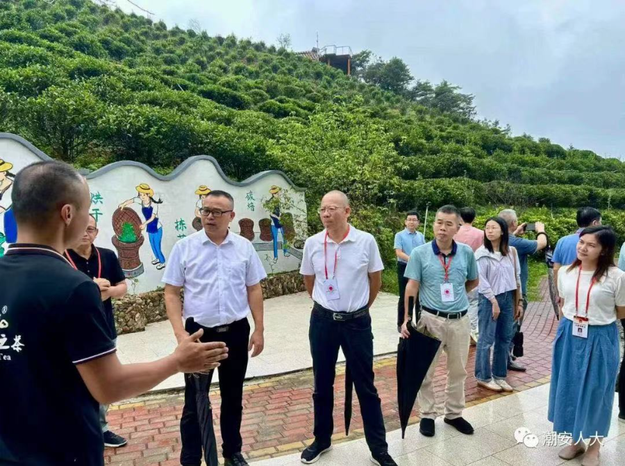 参加凤凰山自然保护区水土保持情况检查.jpg