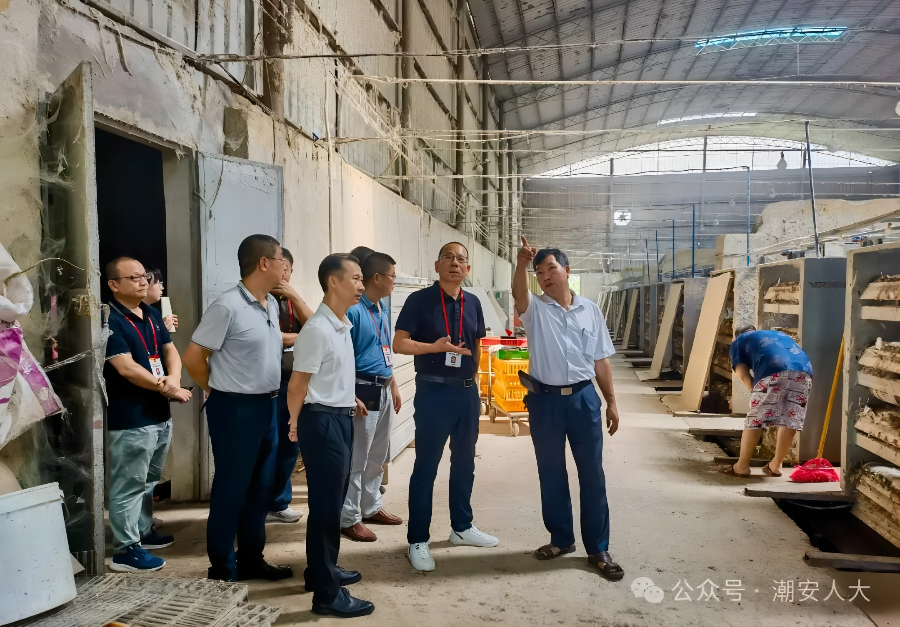 参加新型集体经济发展情况调研.jpg