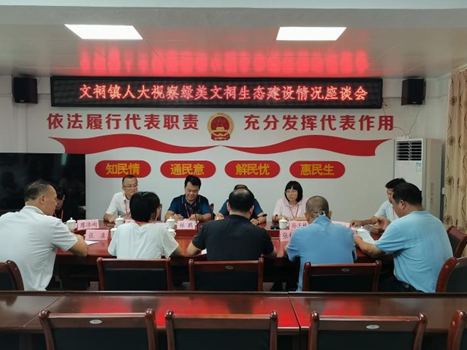 230719文祠镇人大视察绿美文祠生态建设情况.jpg