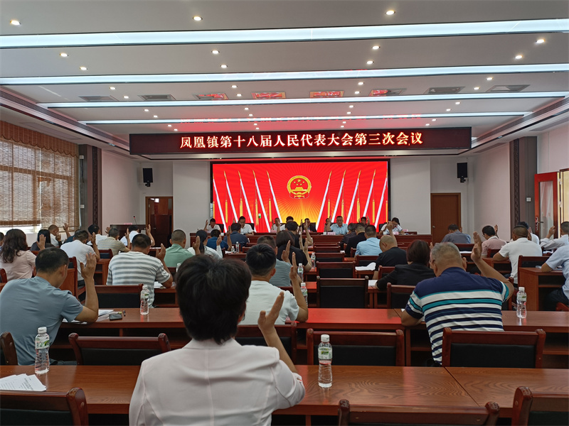 2023.5.10 出席凤凰镇第十八届人民代表大会第三次会议.jpg