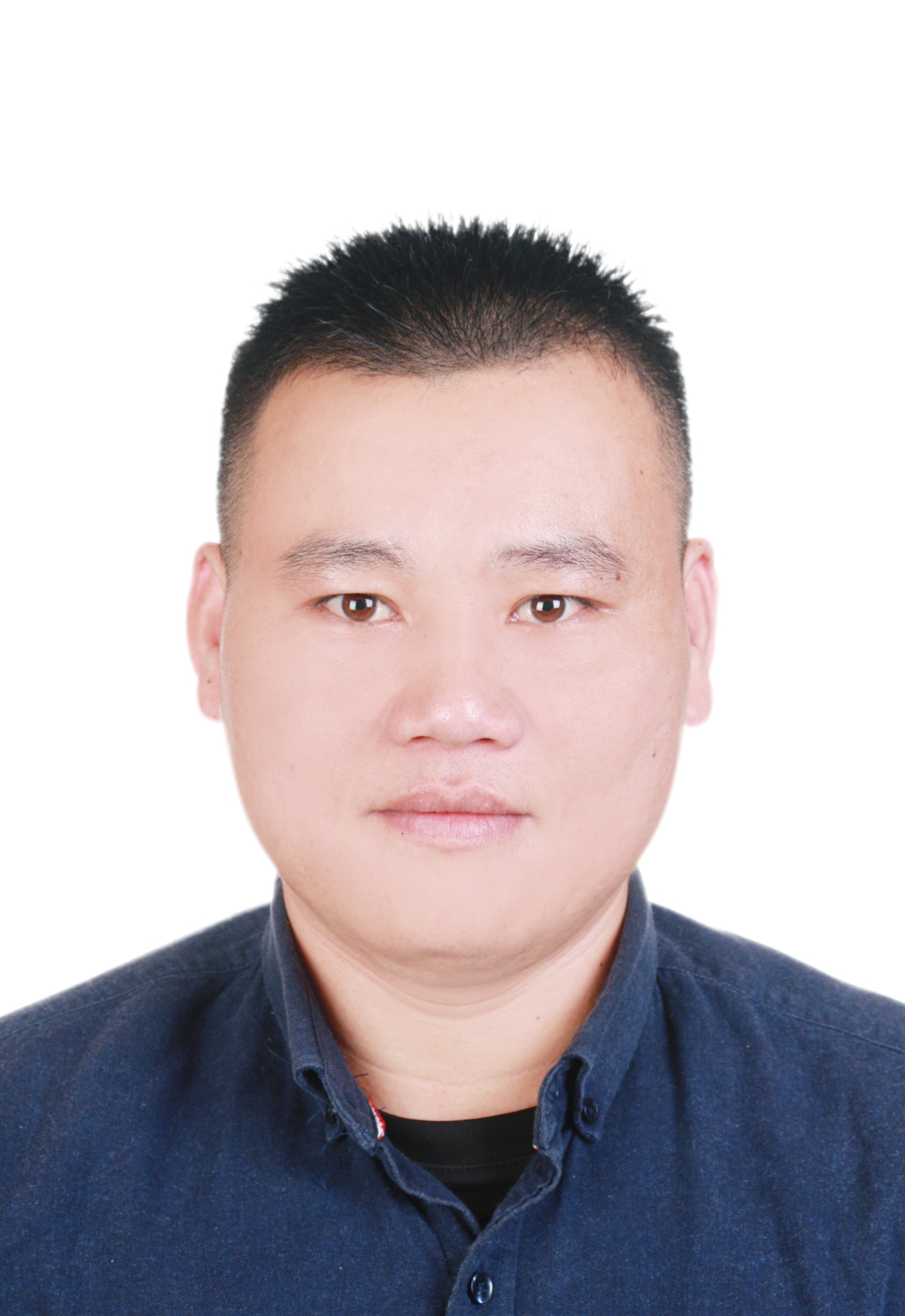 枫四苏桂.jpg