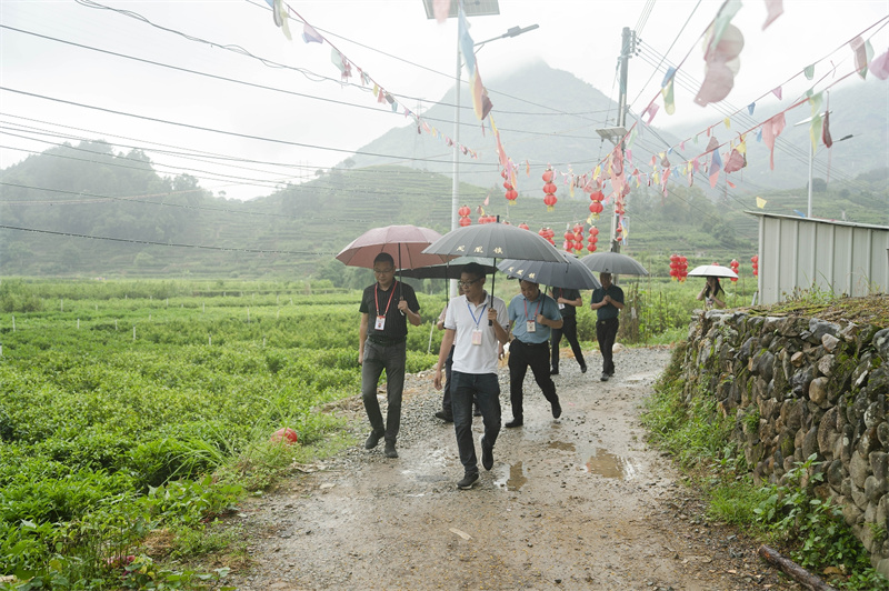 0513-2.视察小组实地察看康美新宫内自然村村道.jpg