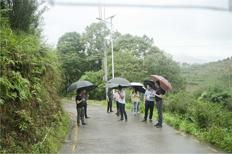 0513-3.视察小组实地察看凤溪村凤东路增加会车点工作.jpg