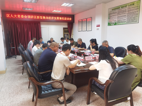 参加区人大常委会调研新型集体经济发展情况活动.jpg