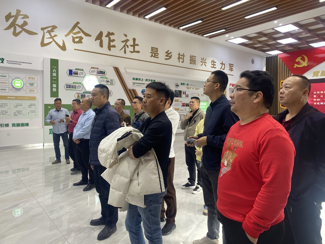 图片4.jpg