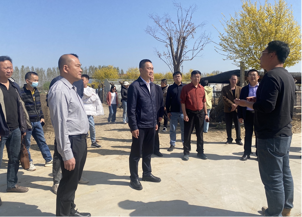 图片6.jpg