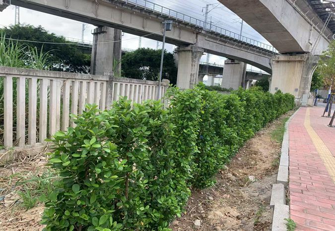 微信图片_20250710105320_副本.jpg