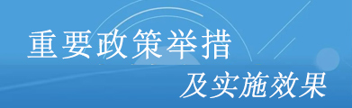 重要政策举措及实施效果